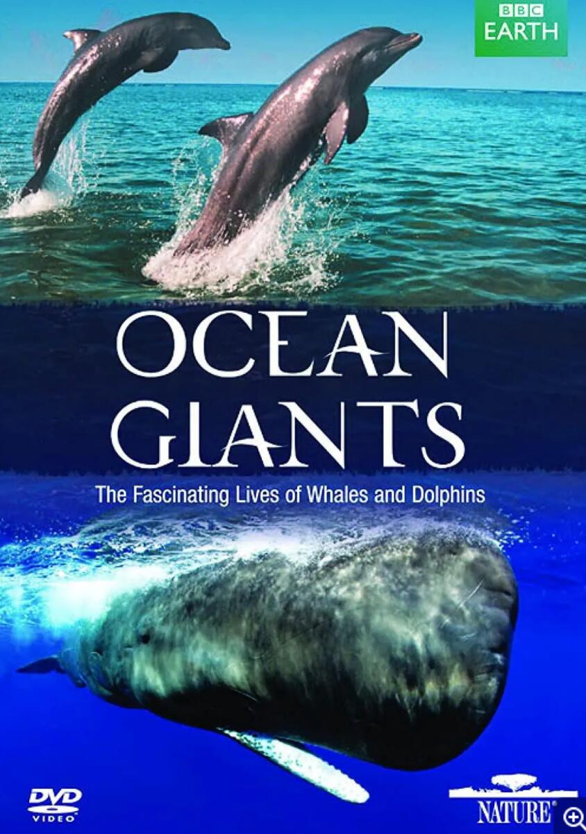 [海洋巨兽/Ocean Giants(全3集)] [英国][纪录片][2011][BD-MKV/8.3G][英语中字][1080P]