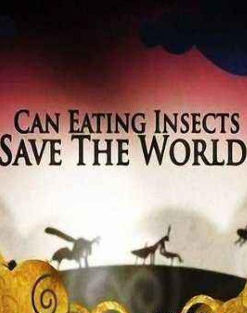 [吃昆虫能拯救世界吗？] [中文字幕][1080P]BD高清